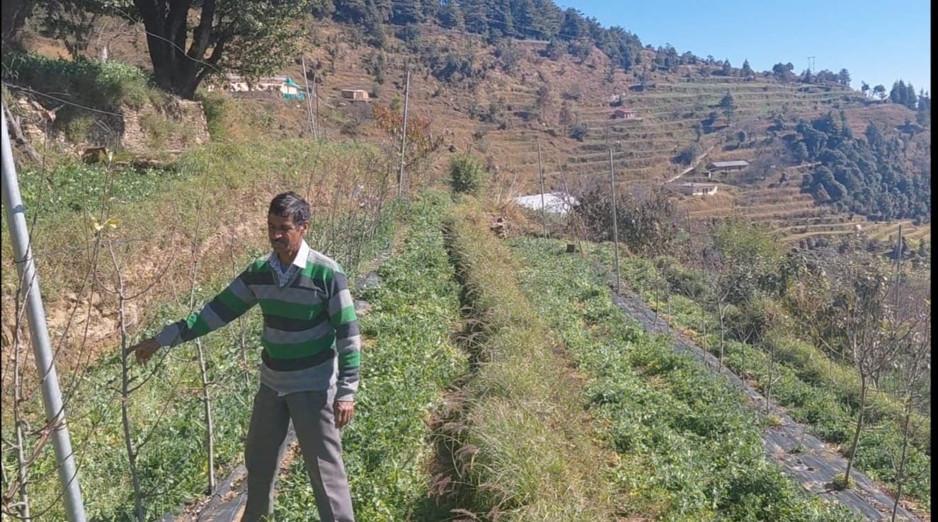 चोपडियालगांव के खुशीराम डबराल: पहाड़ की मिट्टी से आत्मनिर्भरता की मिसाल